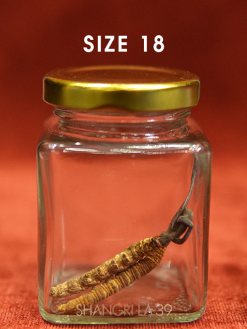 Đông Trùng Size 18 VIP - 20 gram