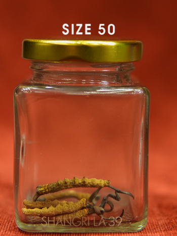 Đông Trùng Size 50 - 20 gram