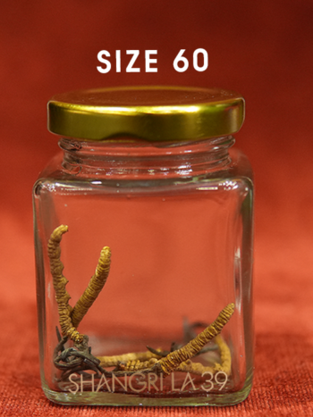 Đông Trùng Size 60 - 10 gram