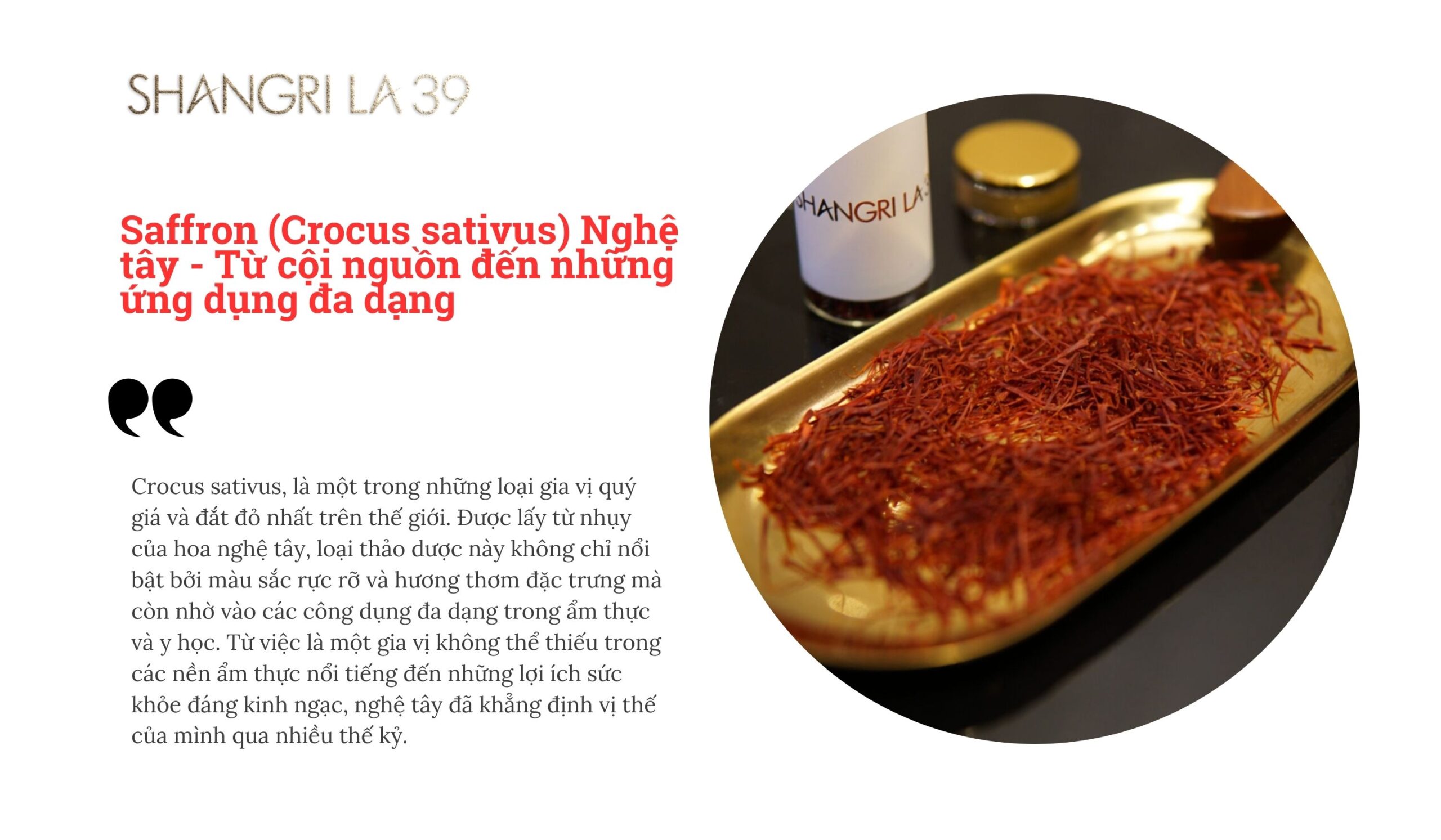 Saffron (Crocus sativus) Nghệ tây - Từ cội nguồn đến những ứng dụng đa dạng